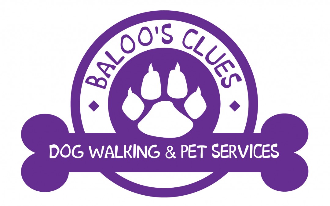 Baloo’s Clues Dog Walking & Pet Services Branding Design