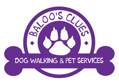 Baloo’s Clues Dog Walking & Pet Services Branding Design